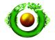 First Fortune Enterprises Ltd