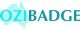 Strategies Unleased TA Ozibadge