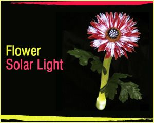 Solar Flower Light