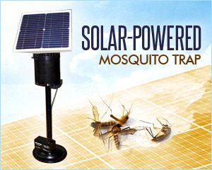 Solar Powered Mosquito Trap